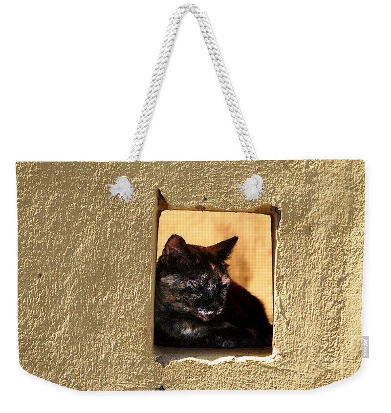 Richard Reeve Weekender Tote Bag featuring the photograph Wall Cat by Richard Reeve
