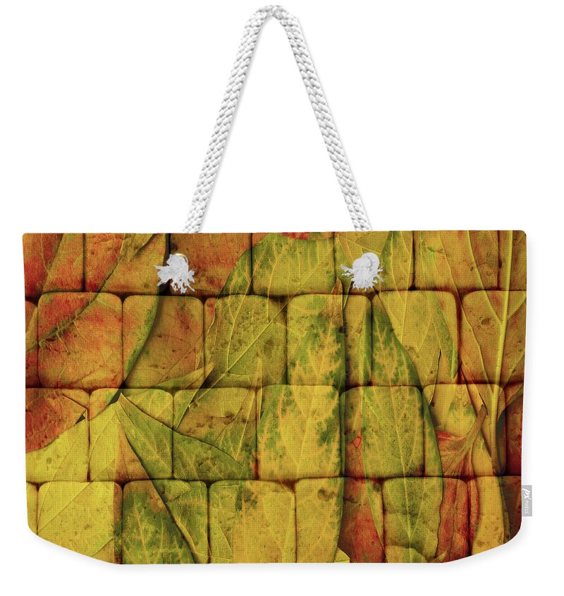Colors Weekender Tote Bag featuring the digital art Autumn Wall by Mehran Akhzari