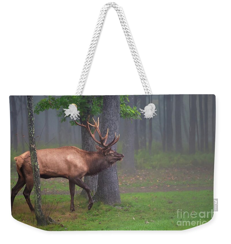 Elk Weekender Tote Bag featuring the photograph Wapiti Woods - Elk in the wilderness by Rehna George