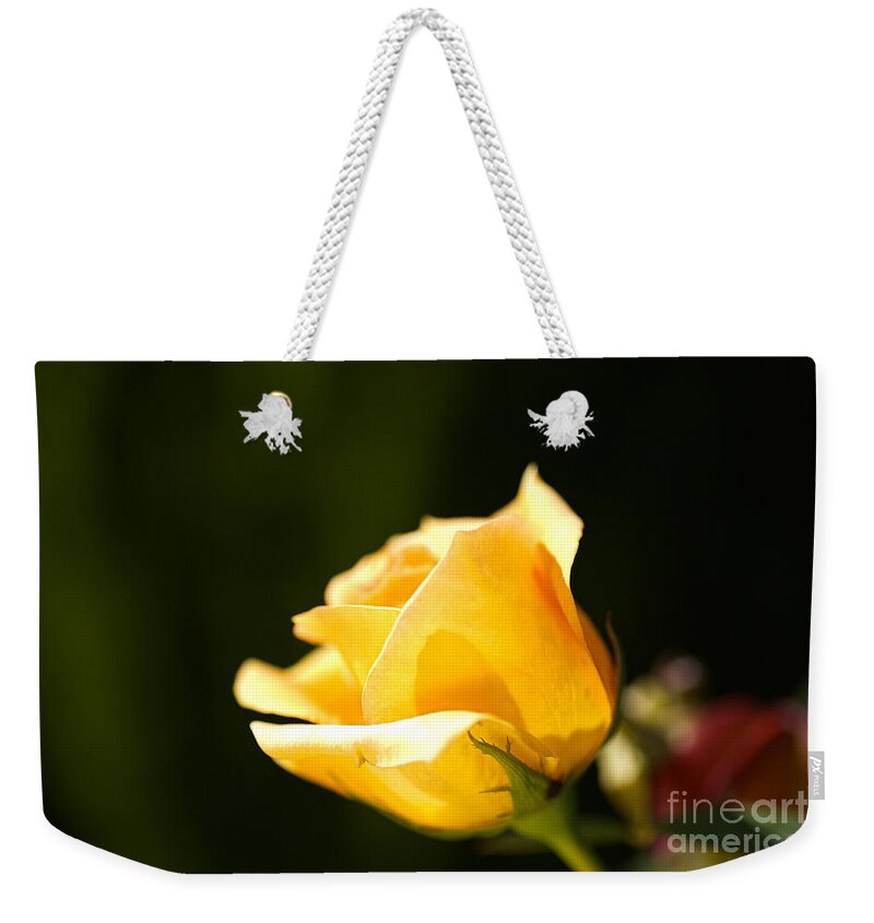 Warm Yellow Rose Bud Weekender Tote Bag featuring the photograph Warm Yellow Rose Bud by Joy Watson