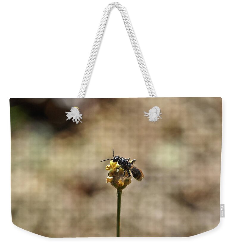 Wasp Weekender Tote Bag featuring the photograph Wasp on a Bulb by WAZgriffin Digital