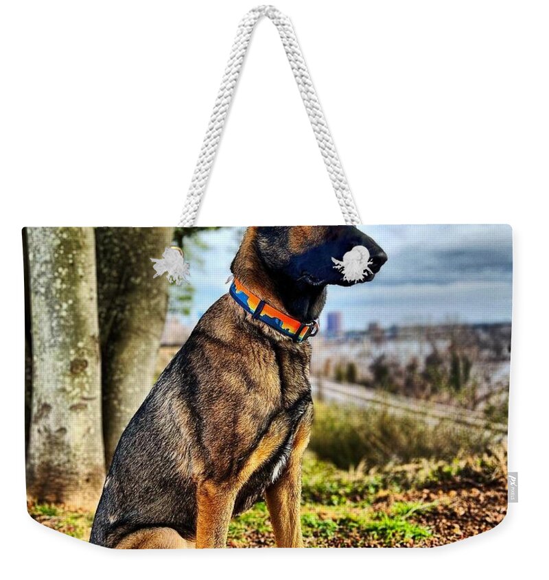  Weekender Tote Bag featuring the photograph Watching by Stephen Dorton