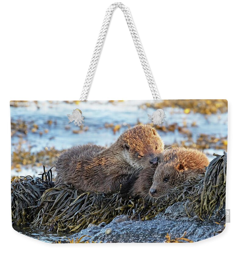 Otter Weekender Tote Bag featuring the photograph Watching The Tide Come In by Pete Walkden