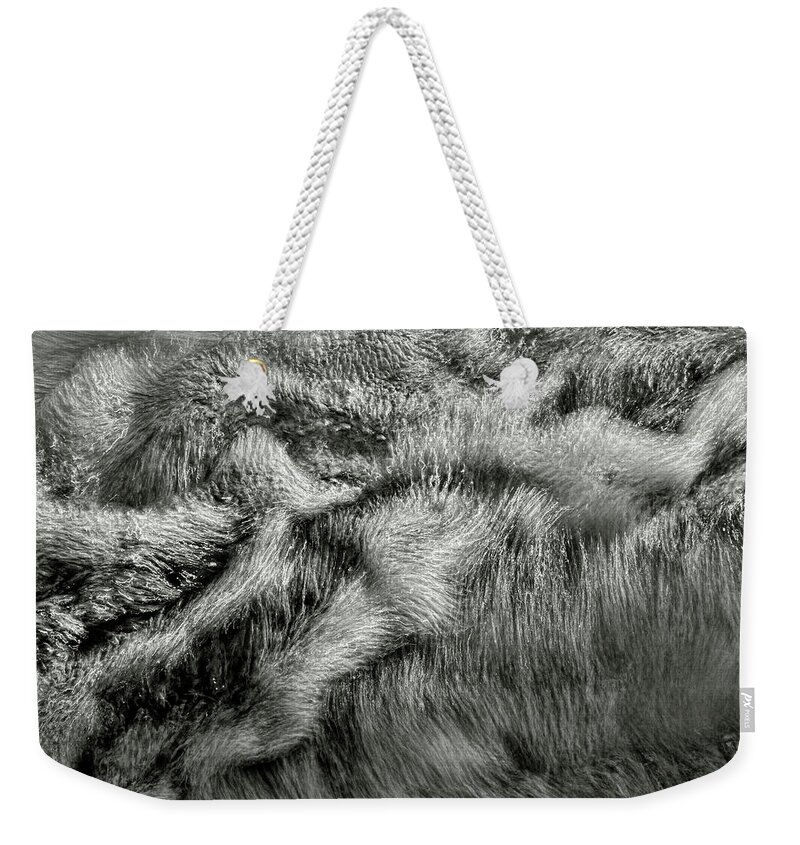 Water Weekender Tote Bag featuring the photograph 032620-Howell-Trail 08 by Dawn J Benko