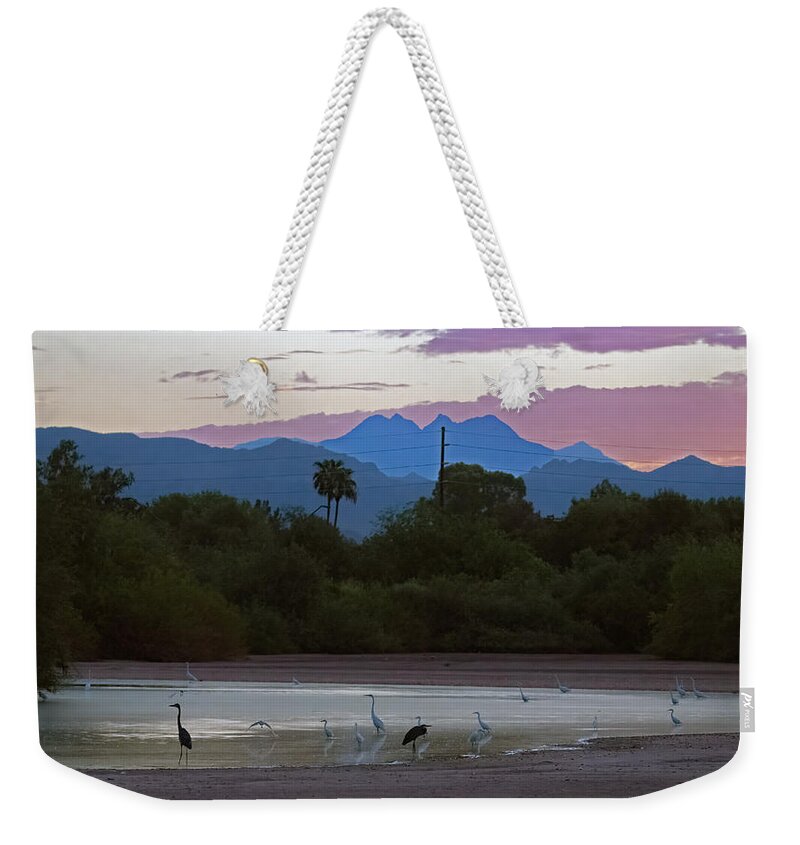 Great Egrets Weekender Tote Bag featuring the photograph Water Birds Early Morning 4281-073021-2 by Tam Ryan