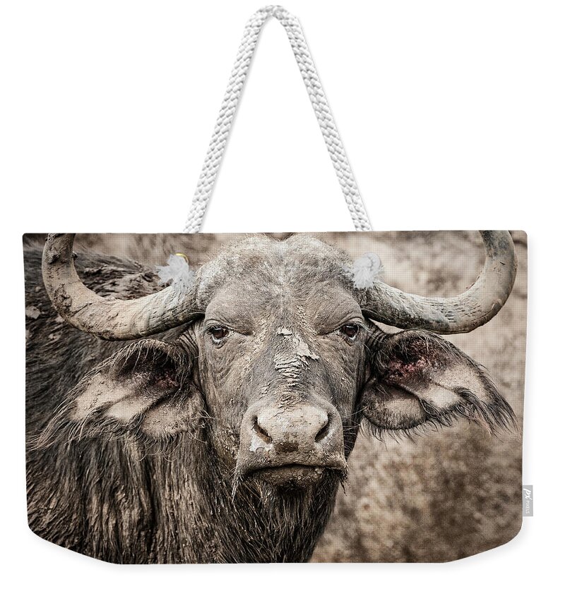 Big 5 Weekender Tote Bag featuring the photograph Water Buffalo by Maresa Pryor-Luzier