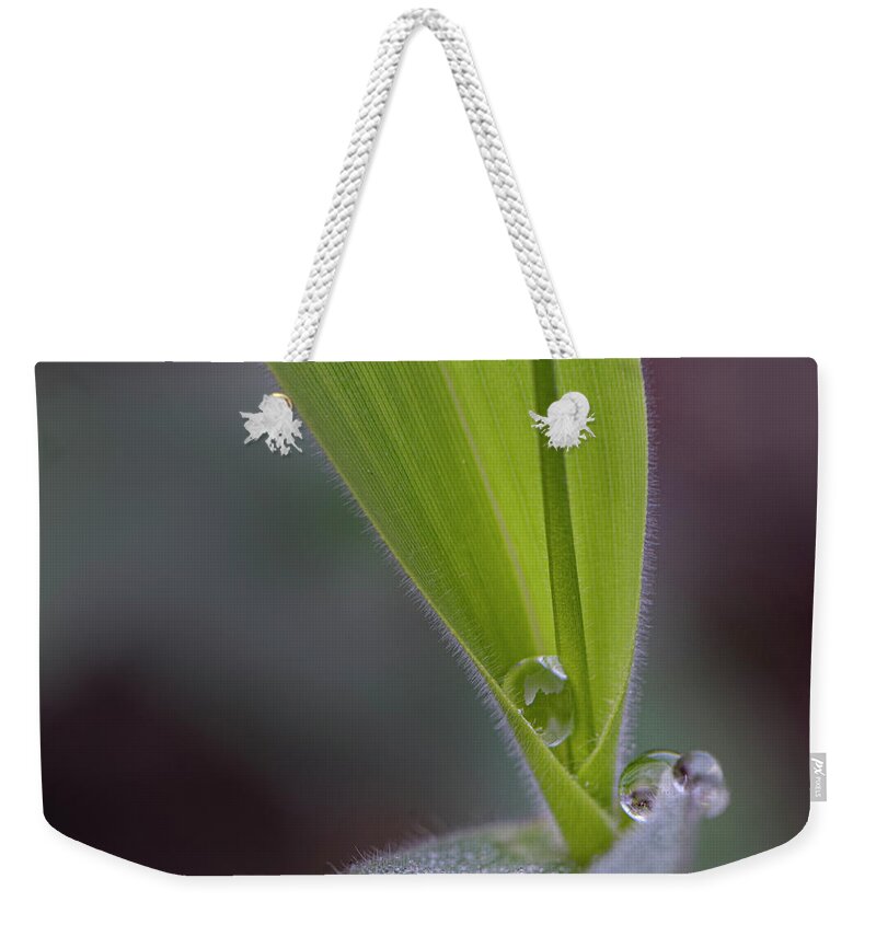 Water Weekender Tote Bag featuring the photograph Water Drop On Grass by Karen Rispin