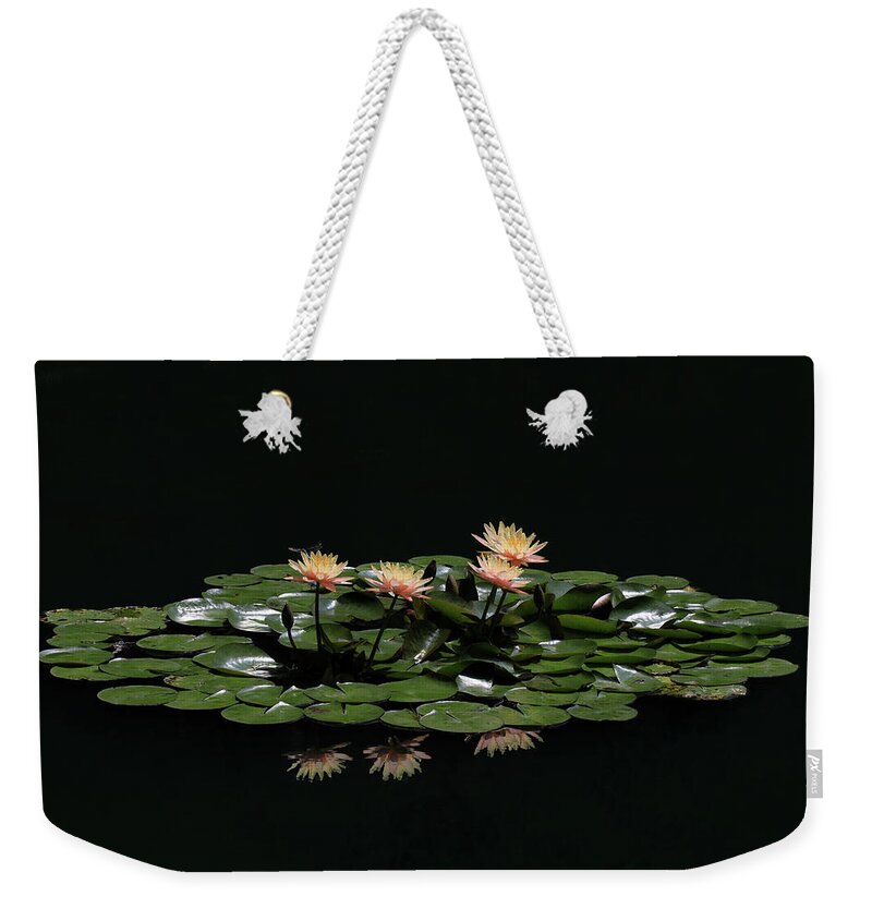 Water Lily Weekender Tote Bag featuring the photograph Water Lilies 8 by Richard Krebs