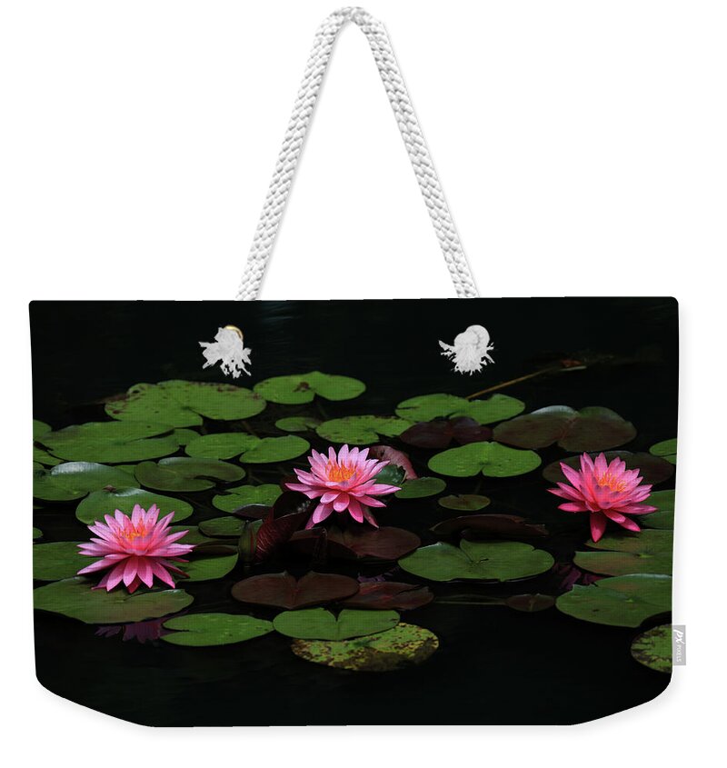 Water Lily Weekender Tote Bag featuring the photograph Water Lilies 9 by Richard Krebs