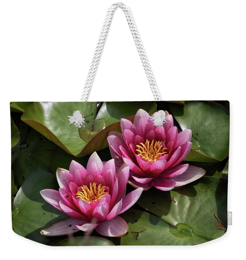 Water Lily Weekender Tote Bag featuring the photograph Water Lily In Bloom by Artur Bogacki