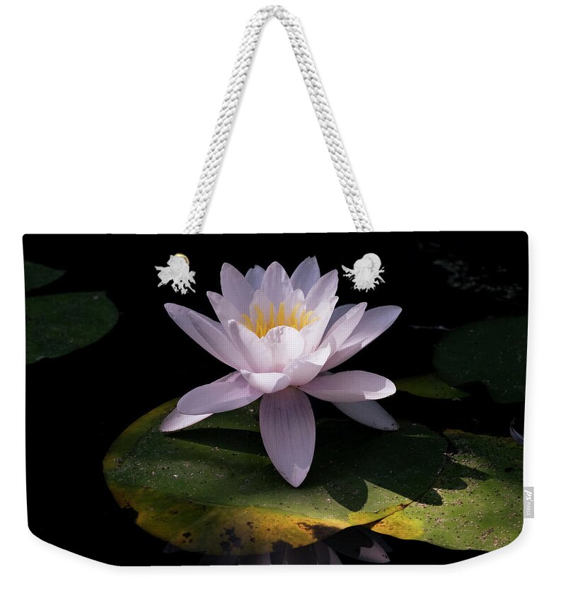 Botanic Weekender Tote Bag featuring the photograph Water Lily in Color by Mary Lee Dereske