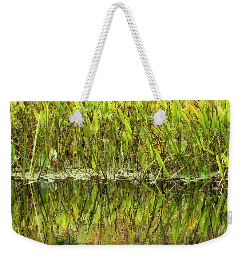 Bronx Botanical Gardens Weekender Tote Bag featuring the photograph Water Plant Reflections by Cate Franklyn