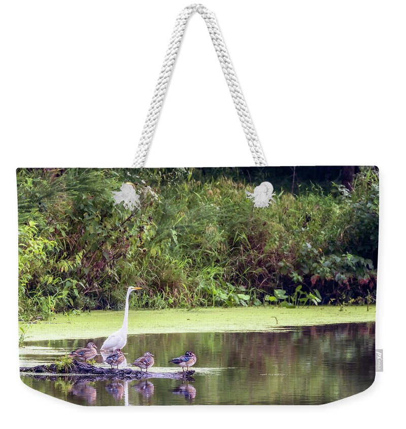 Duck Weekender Tote Bag featuring the photograph Waterbirds at Crab Orchard by Susan Rissi Tregoning