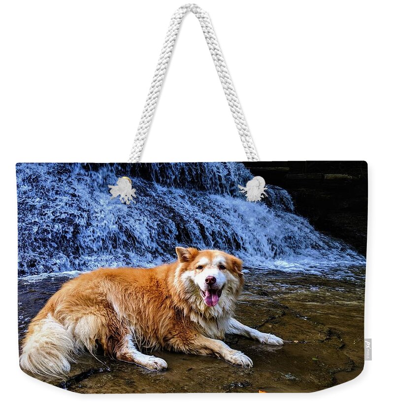  Weekender Tote Bag featuring the photograph Waterfall Doggy by Brad Nellis