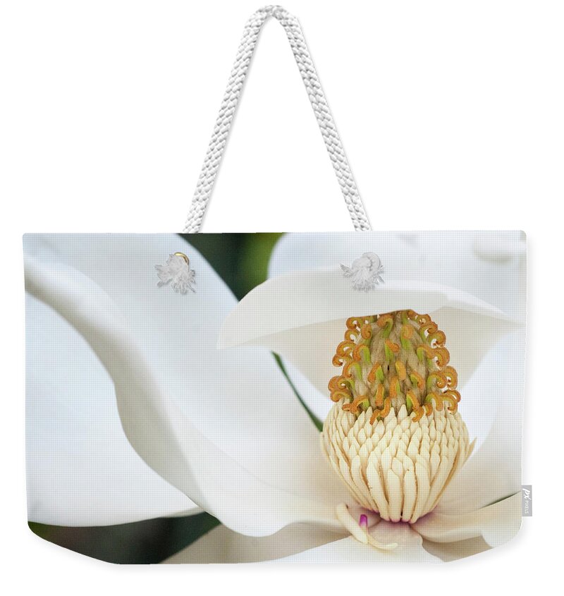 Magnolia Weekender Tote Bag featuring the photograph Waving Magnolia by Melissa Southern
