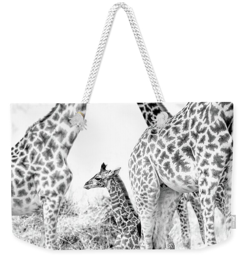 Africa Weekender Tote Bag featuring the photograph We are family by Gaye Bentham