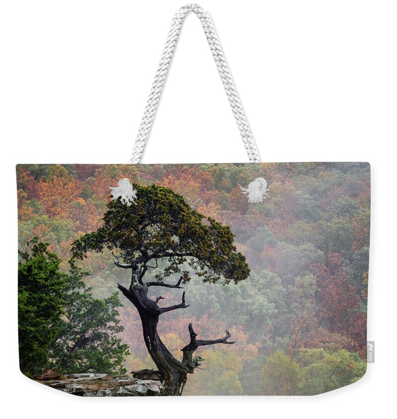 Magazine Mountain Weekender Tote Bag featuring the photograph Weathered Cedar by James Barber