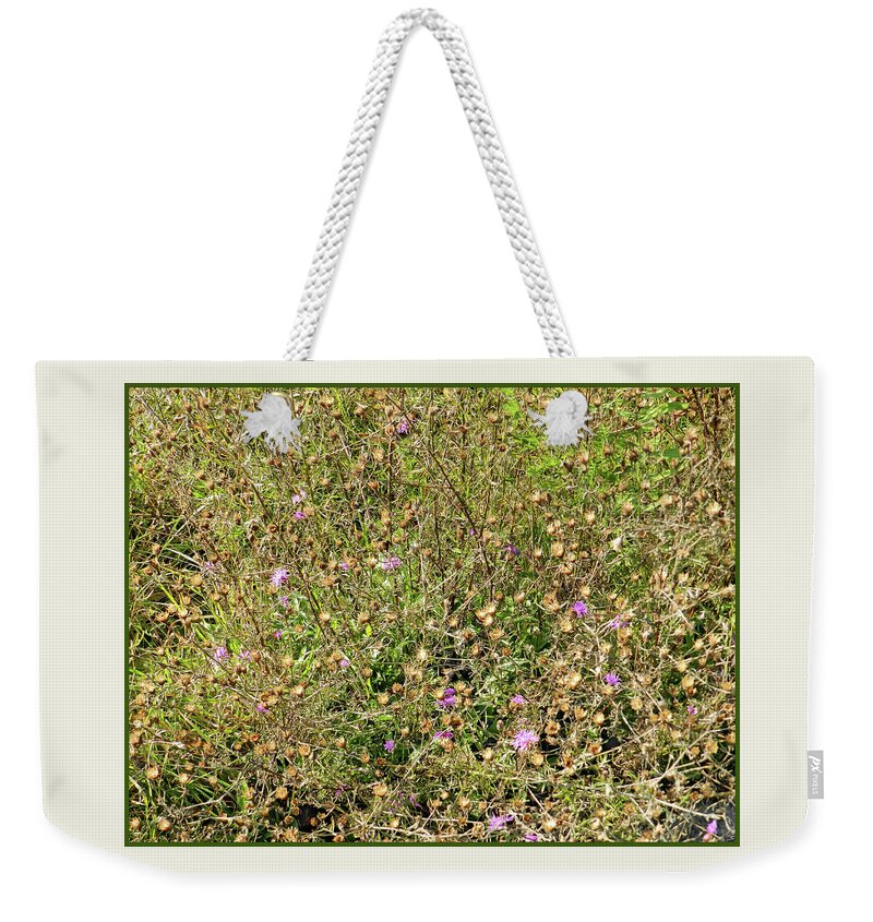 Detailed Weekender Tote Bag featuring the photograph Weeds, Dried Wildflowers and Bloomed Wildflowers Under Threat By Saratoga Hospital Development by Lise Winne