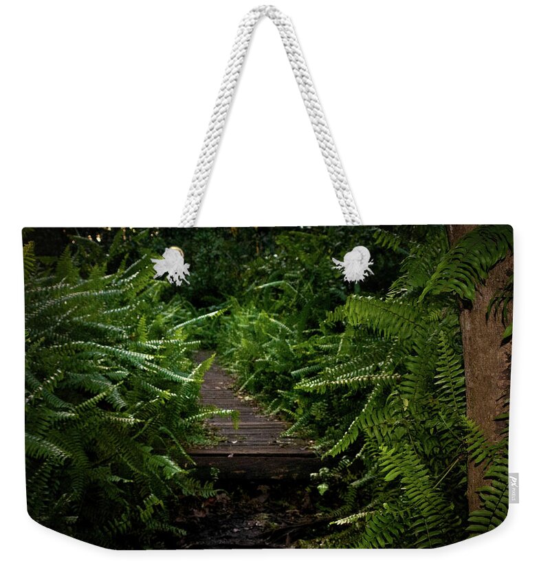Florida Weekender Tote Bag featuring the photograph Welcome to the Jungle by Vicky Edgerly
