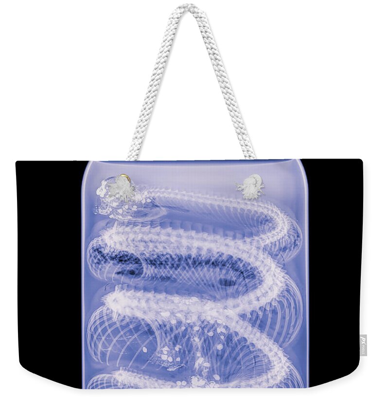 Reptile Weekender Tote Bag featuring the photograph Western Diamondback -2 by Rob Graham