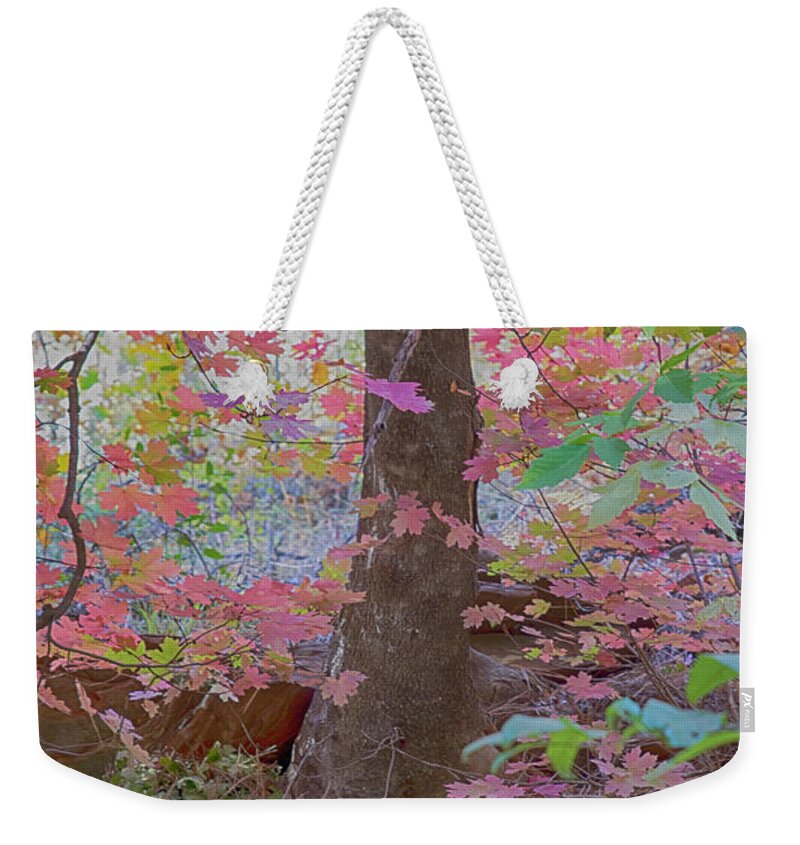 Oak Creek Canyon Weekender Tote Bag featuring the photograph Westfork Dreams by Tom Kelly