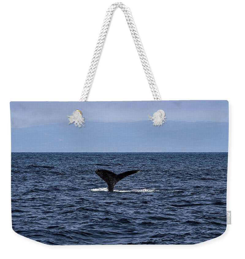 Whale Weekender Tote Bag featuring the photograph Whale Tail Fluke - Monterrey Bay by Amazing Action Photo Video