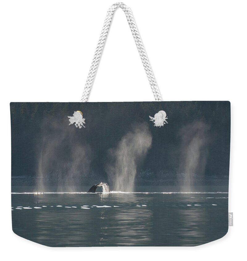 Whale Weekender Tote Bag featuring the photograph Whale Tail in the Sun by David Kirby