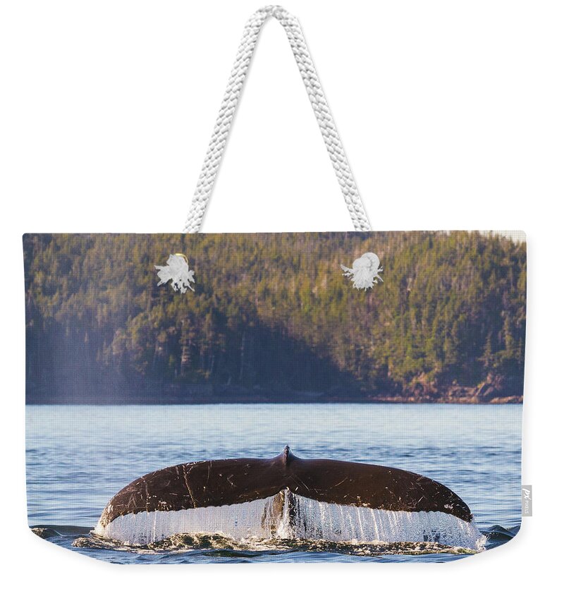 Whale Tale Weekender Tote Bag featuring the photograph Whale Tale 1 by Michael Rauwolf