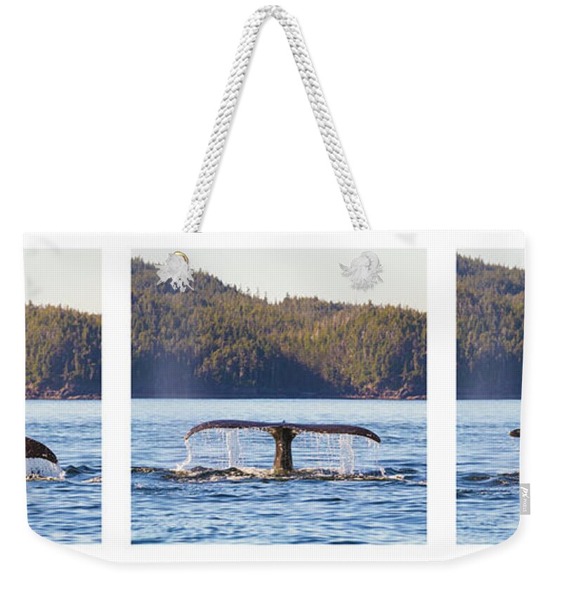 Whale Weekender Tote Bag featuring the photograph Whale Tale Trio by Michael Rauwolf