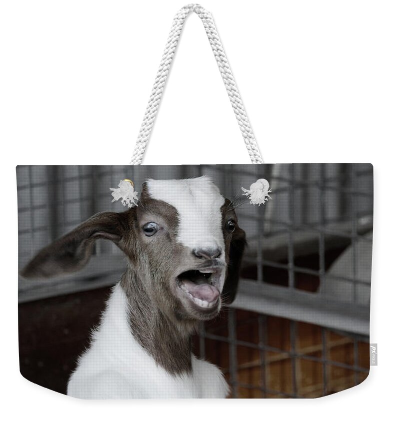 Goat Weekender Tote Bag featuring the photograph What About Me? by Elaine Teague