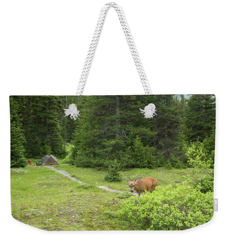 Olympic National Park Weekender Tote Bag featuring the photograph What are you doing here by Kunal Mehra