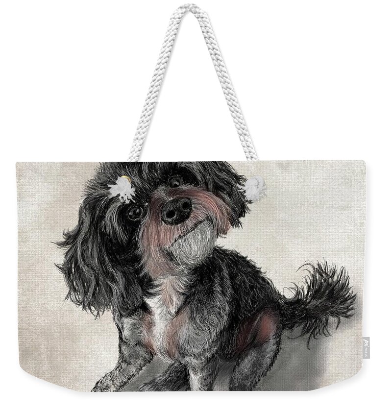 Gary Weekender Tote Bag featuring the drawing What, No Treats? by Gary F Richards