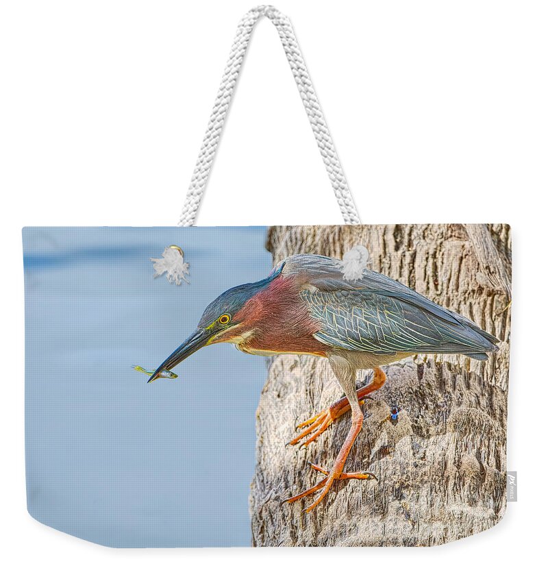 Birds Weekender Tote Bag featuring the photograph What's for Lunch by Judy Kay