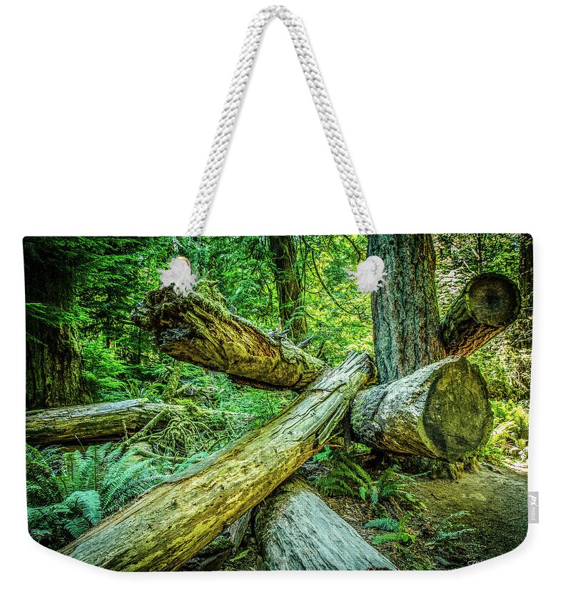 Old Growth Forest Weekender Tote Bag featuring the photograph When the Wind Blows Cathedral Grove by Roxy Hurtubise