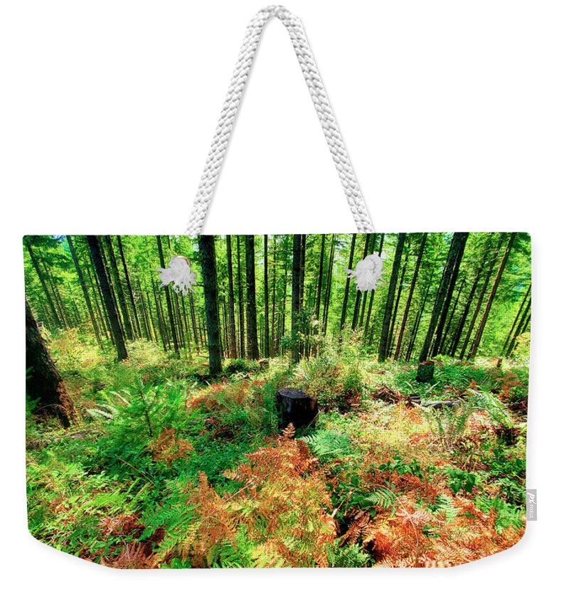 Oregon Mountains Weekender Tote Bag featuring the photograph Where The Ferns Grow 2 by Janie Johnson