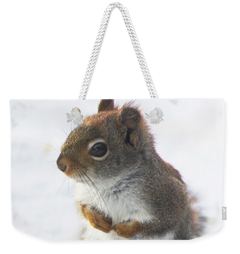 Red Squirrel Weekender Tote Bag featuring the photograph Where's the Food? by Jane Axman