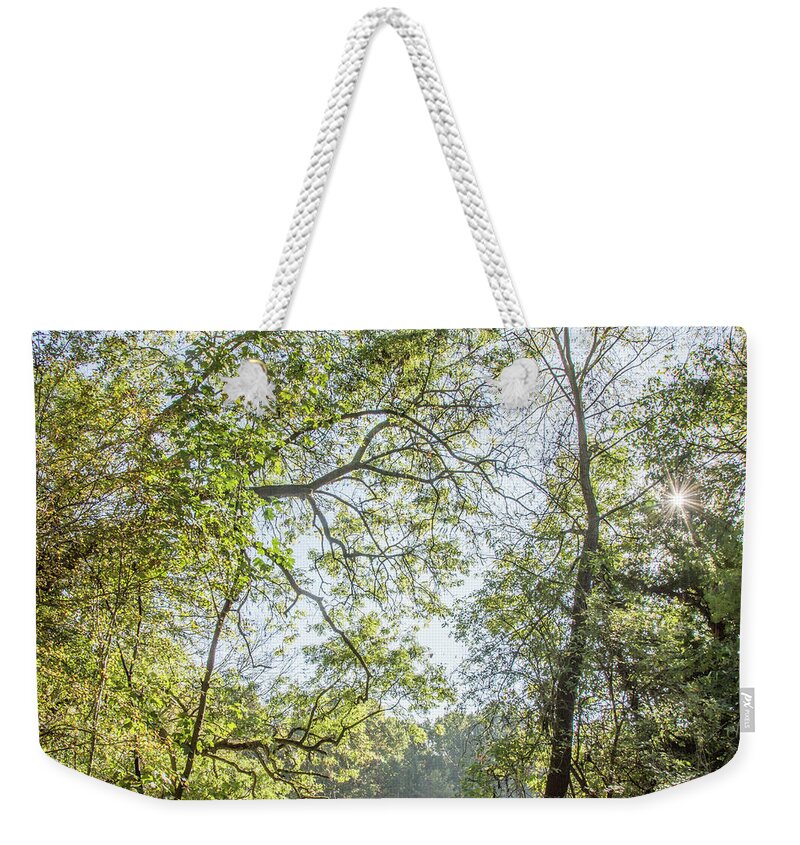 Whetstone Stray Weekender Tote Bag featuring the photograph Whetstone Stray Trees Fall 2 by Edmund Peston