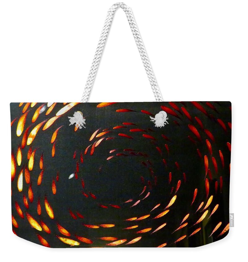 Spirals Weekender Tote Bag featuring the photograph School in Session by Kerry Obrist