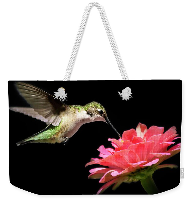 Hummingbirds Weekender Tote Bag featuring the photograph Whispering Hummingbird Square by Christina Rollo