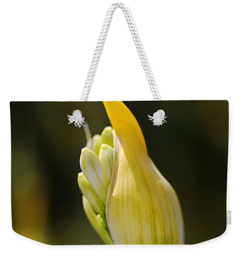 Lily Of The Nile Weekender Tote Bag featuring the photograph White Agapanthus As Bud by Joy Watson