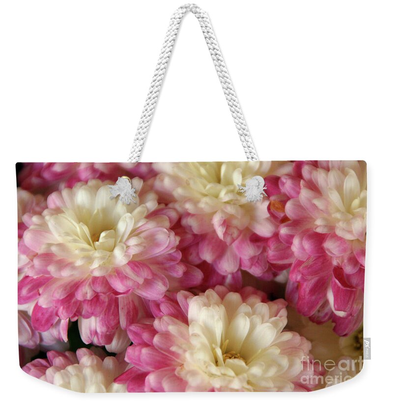 Flora Weekender Tote Bag featuring the photograph White and Pink Mums by Mariarosa Rockefeller