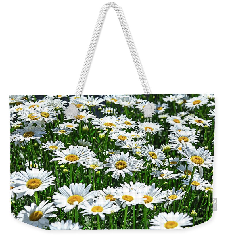 White Yellow Flowers Field Weekender Tote Bag featuring the photograph White and Yellow Flowers in a Field by David Morehead
