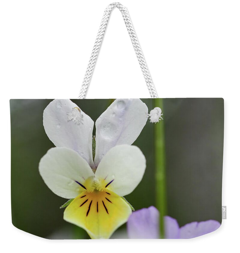Finland Weekender Tote Bag featuring the photograph White and yellow Wild pansy by Jouko Lehto