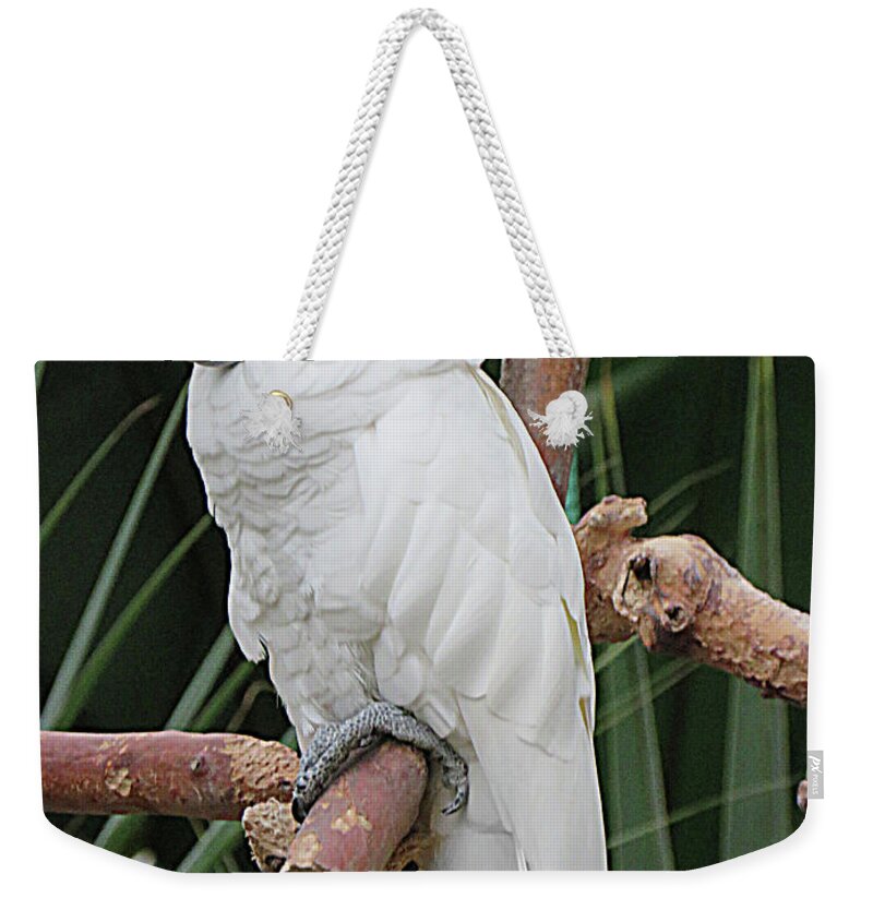 Canada Weekender Tote Bag featuring the photograph White as Snow by Mary Mikawoz