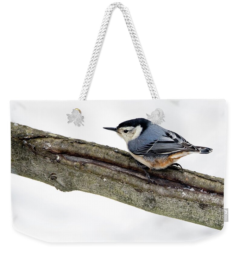 Woodpecker Weekender Tote Bag featuring the photograph White-breasted Nuthatch by Art Cole
