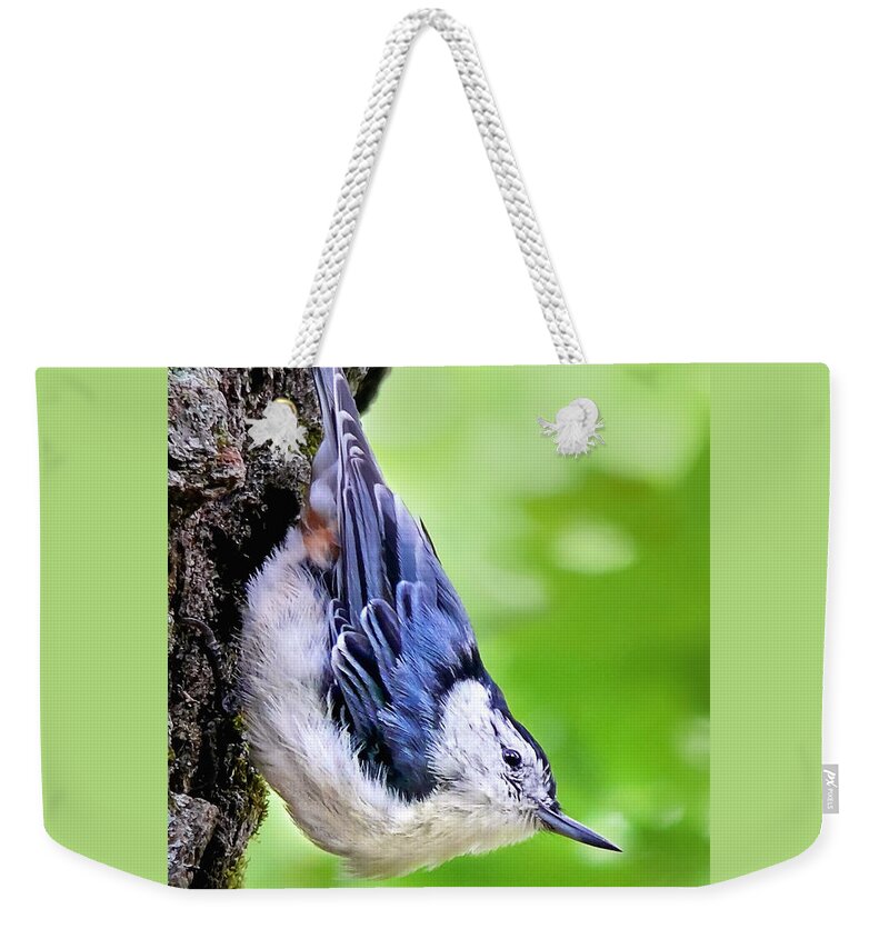 Nuthatch Weekender Tote Bag featuring the photograph White Breasted Nuthatch by Christina Rollo