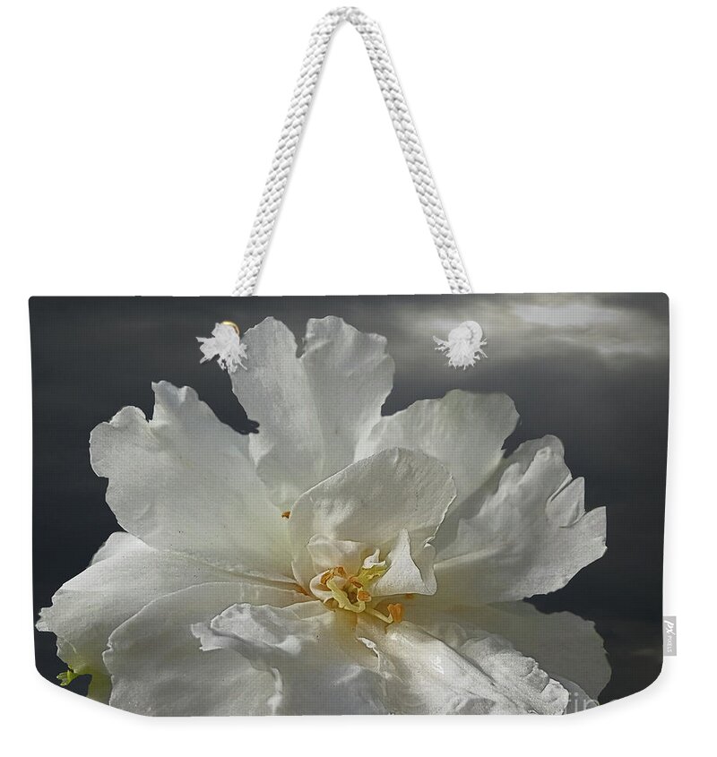 Camellia Weekender Tote Bag featuring the photograph white Camellia - hybrid by Klaus Jaritz