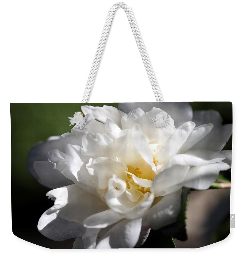 Camellia Weekender Tote Bag featuring the photograph White Camellia III by Mingming Jiang