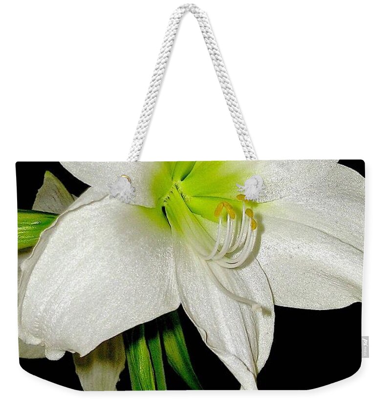 White Christmas Weekender Tote Bag featuring the photograph White Christmas by James Temple