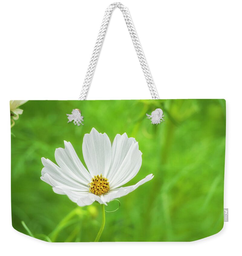 Serene Weekender Tote Bag featuring the photograph White Cosmos 1 by Marianne Campolongo